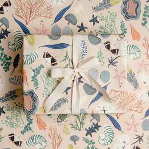 Our natural curiosities wrapping paper