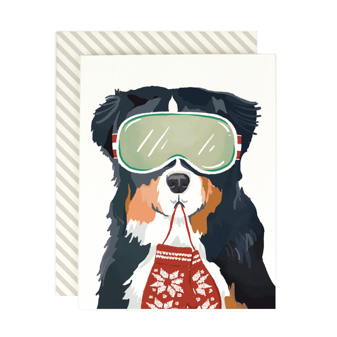 Bernese Ski Dog